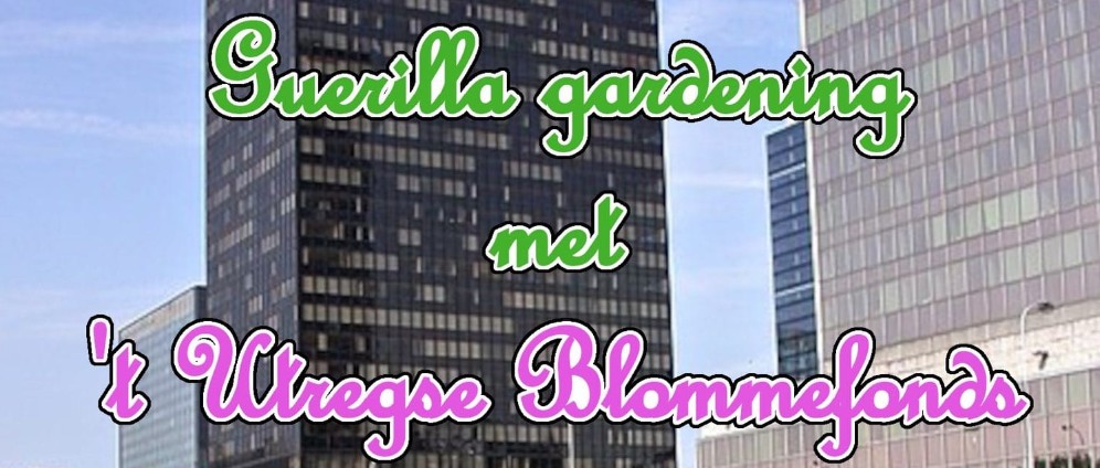 guerilla gardening t blommefonds utrecht
