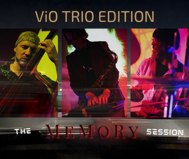 Sound and Slices met ViO Trio Edition